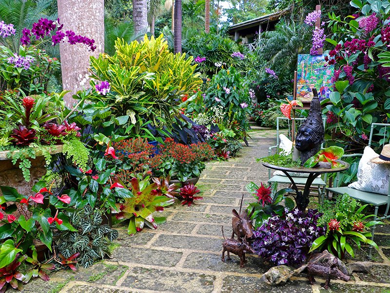Hunte’s Garden in the middle of Barbados’s Caribbean rainforest offers a wide range of tropical plants and wide-open spaces to soak up the sun. Photograph: Sue Stubbs