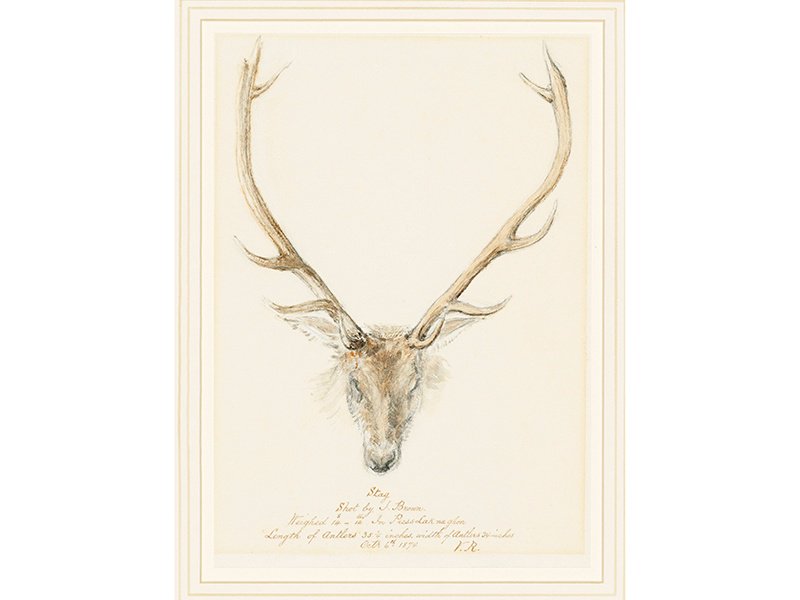 A Stag Shot by John Brown, (estimate £6,000–£10,000), reveals Queen Victoria’s talents as a watercolorist. Image: Christie’s Images Ltd. 2017