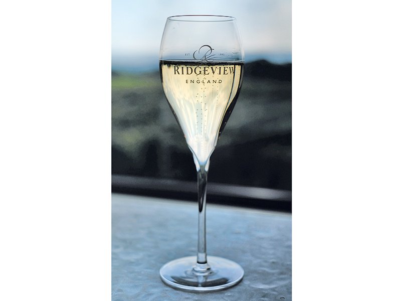 Ridgeview has received accolades at the Decanter World Wine Awards, International Wine Challenge, and Sommelier Wine Awards, among others, in some cases topping French champagne houses. Photograph: Christopher Pledger