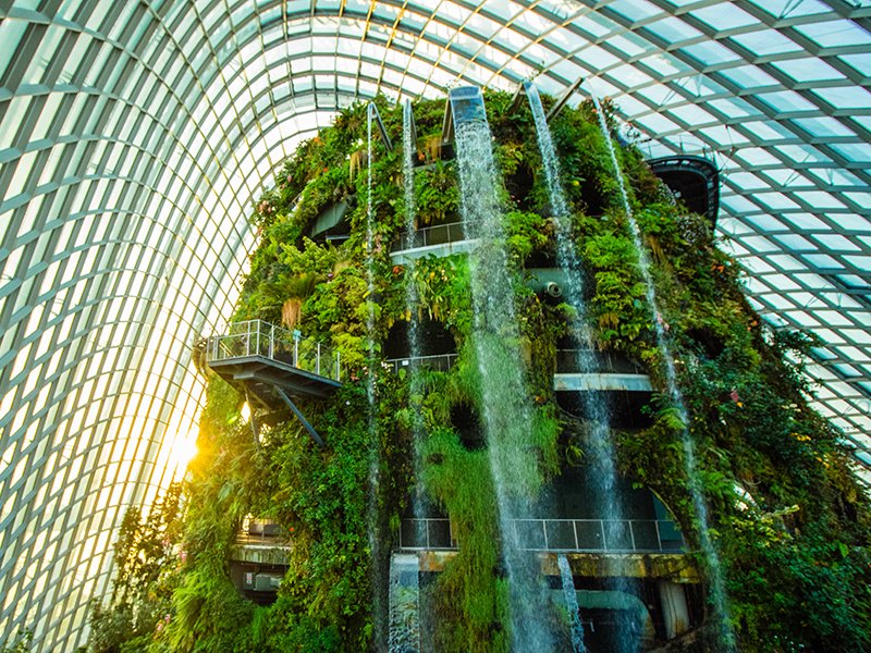 The Cloud Forest in Singapore’s Gardens by the Bay features a “mountain” covered in lush vegetation, with an indoor waterfall.