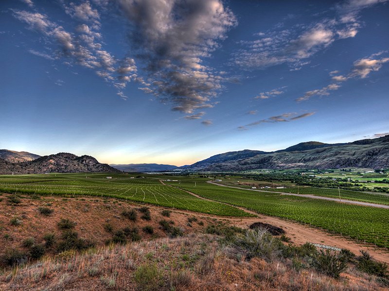 When completed—scheduled for 2019—Phantom Creek Estates in the Okanagan Valley will include 128 acres of vineyards and a 72,000-square-foot winery.