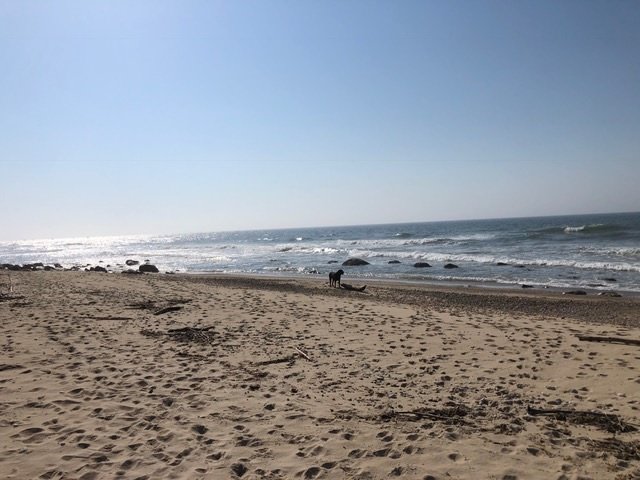 It’s been said that the lifestyle in Montauk “feels like you’re living on the edge of the world and at the same time close to the center of the universe.”