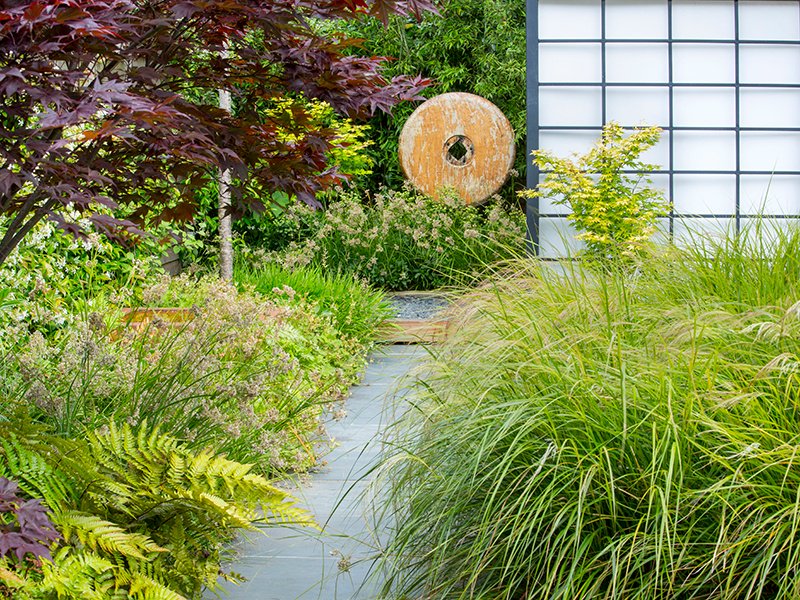 The view along a stone path to a wooden sculpture and trellis screen. Plants include fireglow and orange dream Japanese maples, pheasant’s tail grass, Japanese shield fern, and snow rush.