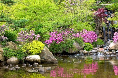 How to Design an Asian-Inspired Garden
