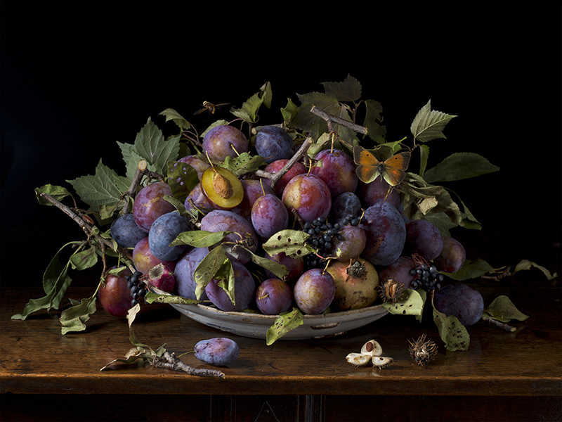 Italian Plums After GG 2015 by Paulette Tavormina