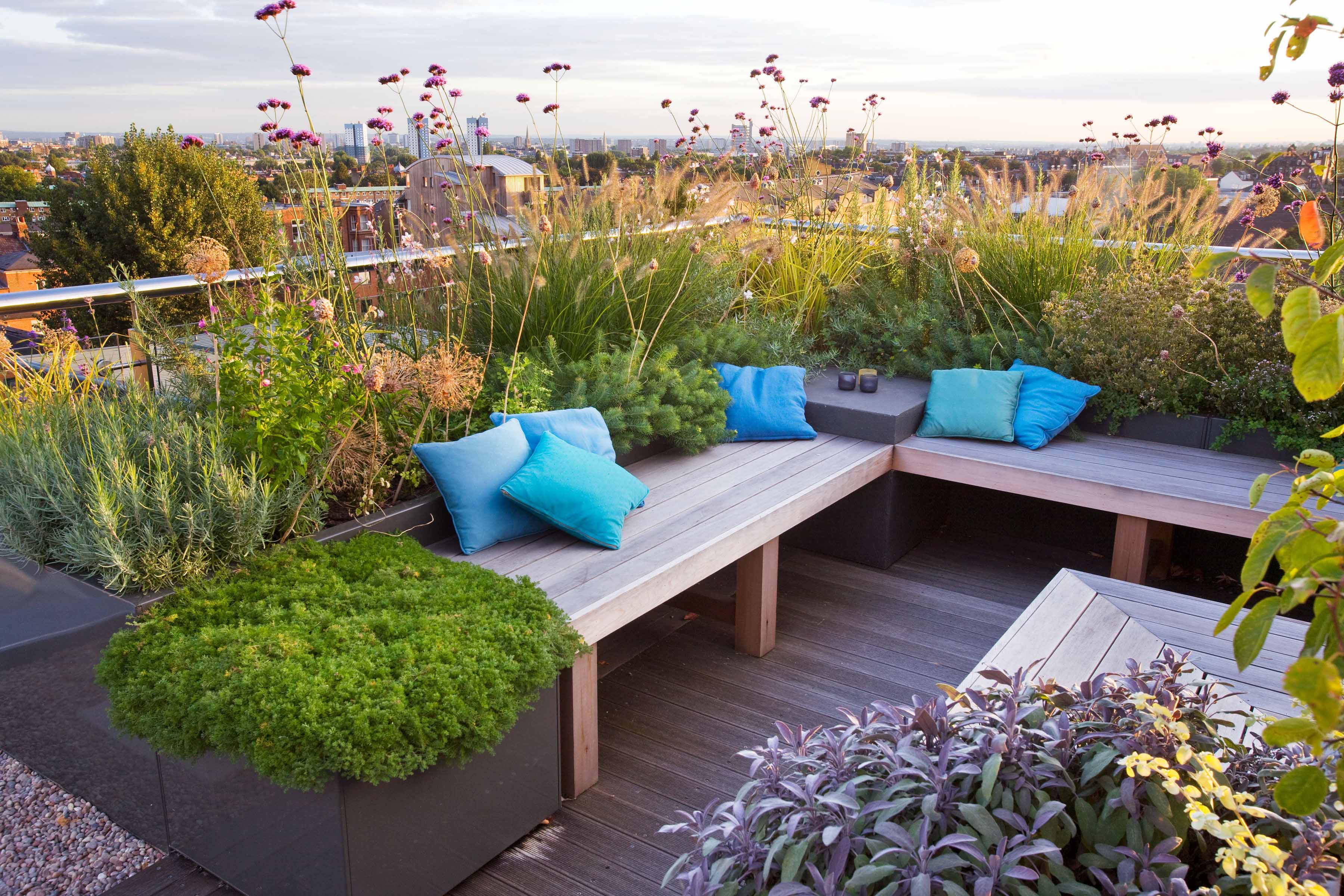 Rooftop seating and plants