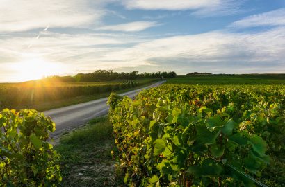 How 3 of the World’s Best Wine Regions are Reemerging