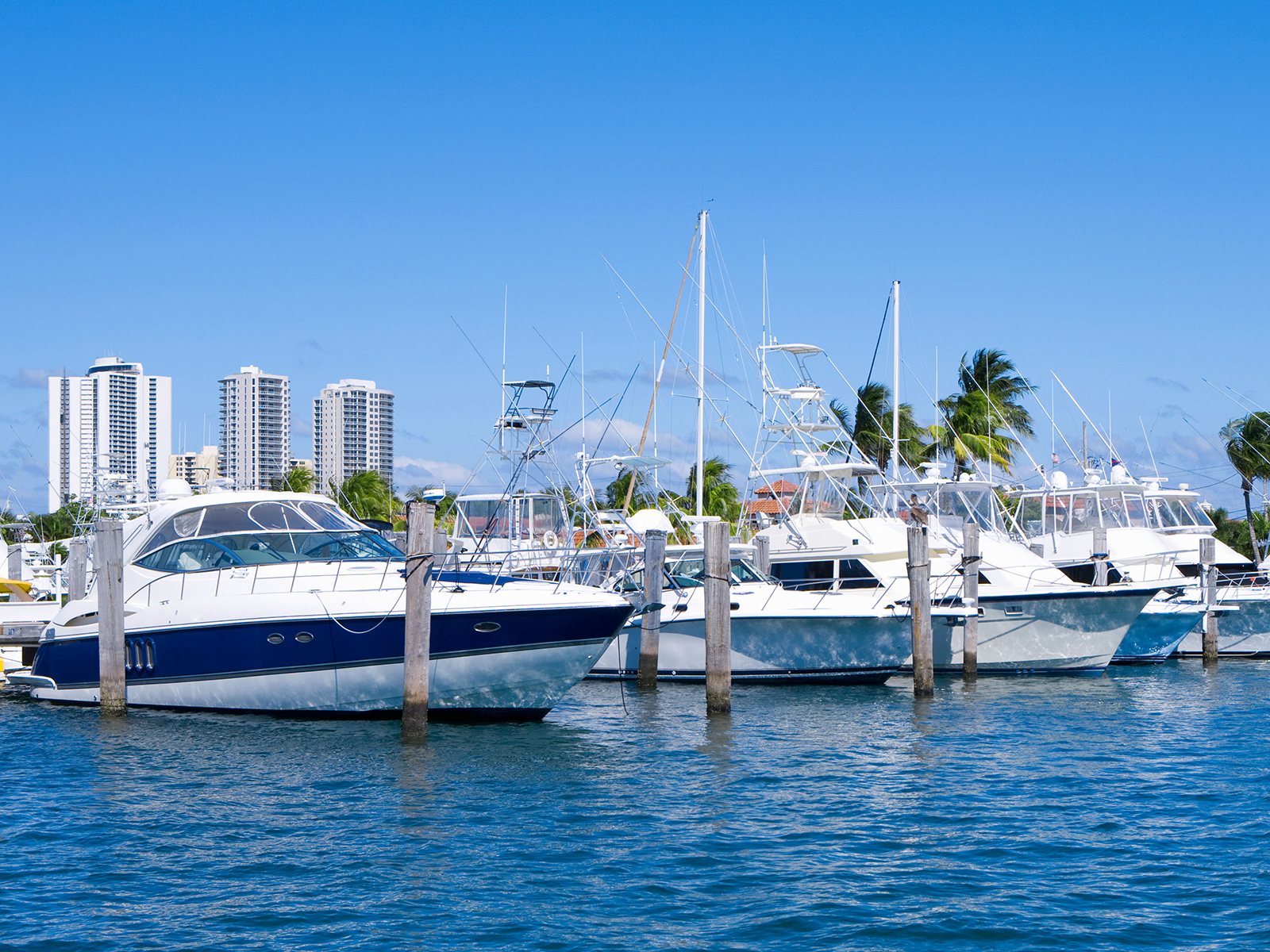 Boats in marina in Palm Beach, Florida, USA
