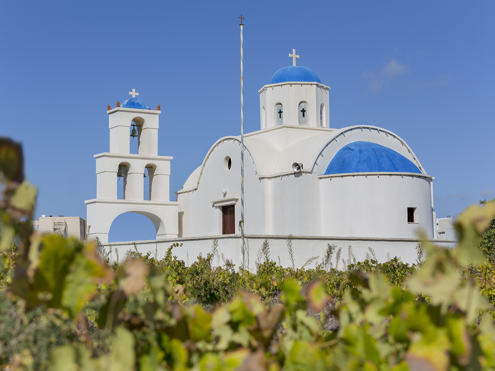 A white church surrounded by grapevines in Santorini