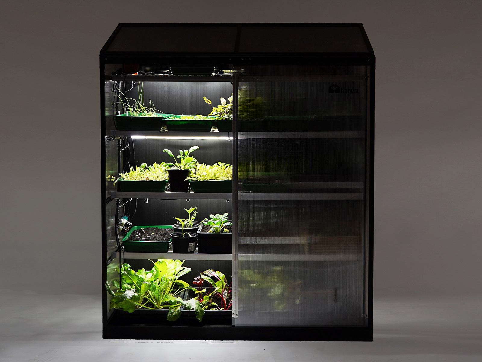 A black Harvst smart greenhouse filled with green herbs
