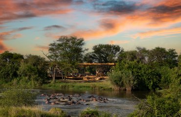 Safari Experience: Return to the African Wilderness